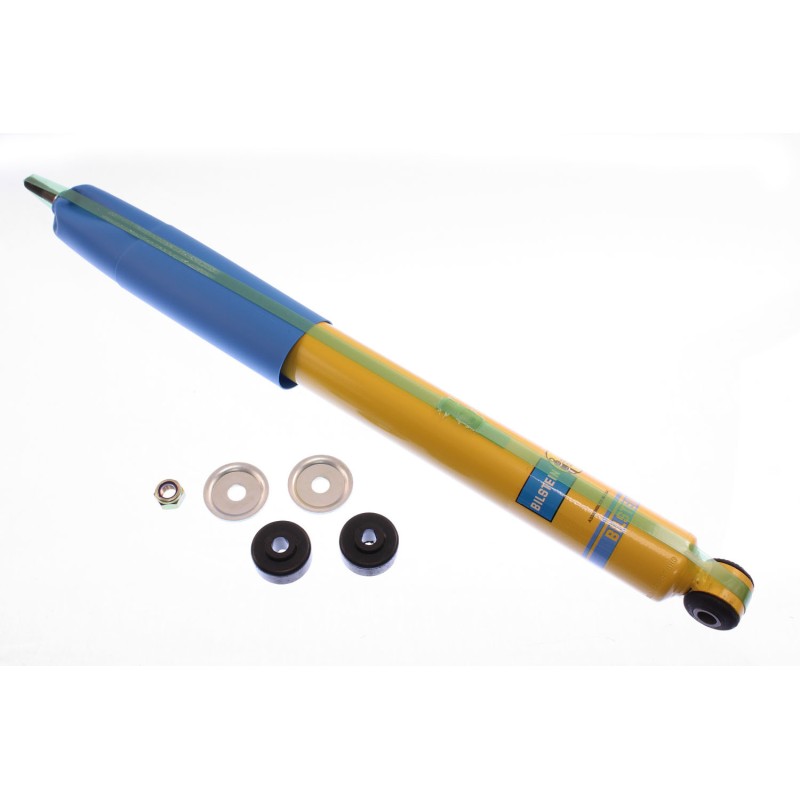 Rear Shock Ford F150
