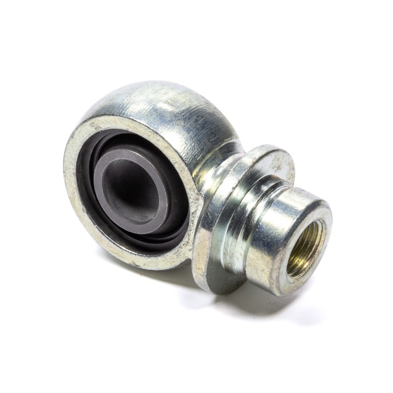 Eye Ring Assembly