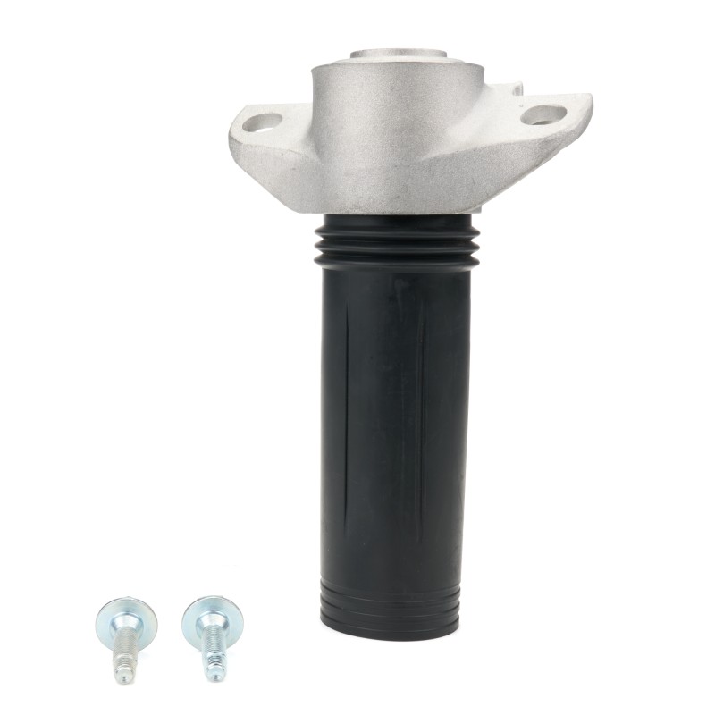 Strut Mounts