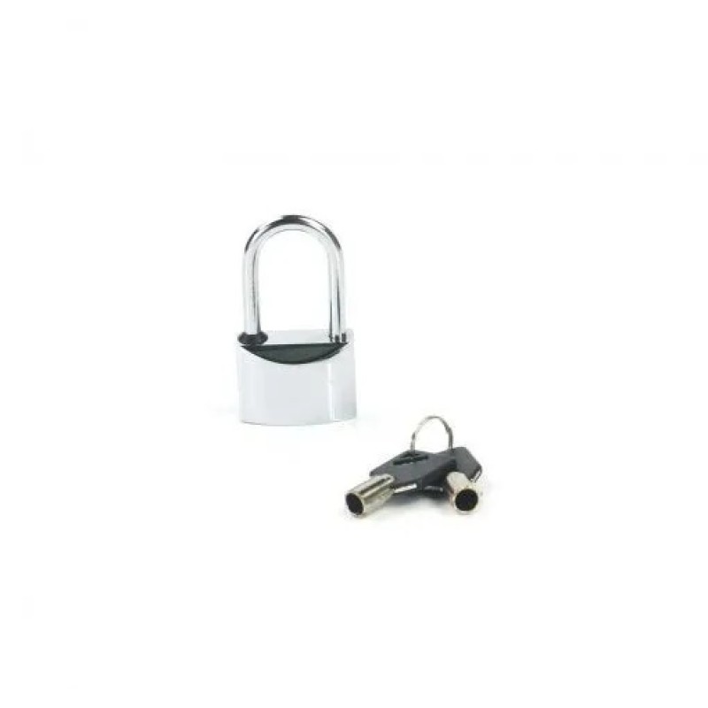 1 Padlock Can Be Keyed Alike